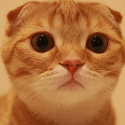 雷霆最新加速器